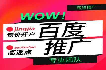 SEO与SEM服务结合的实战案例